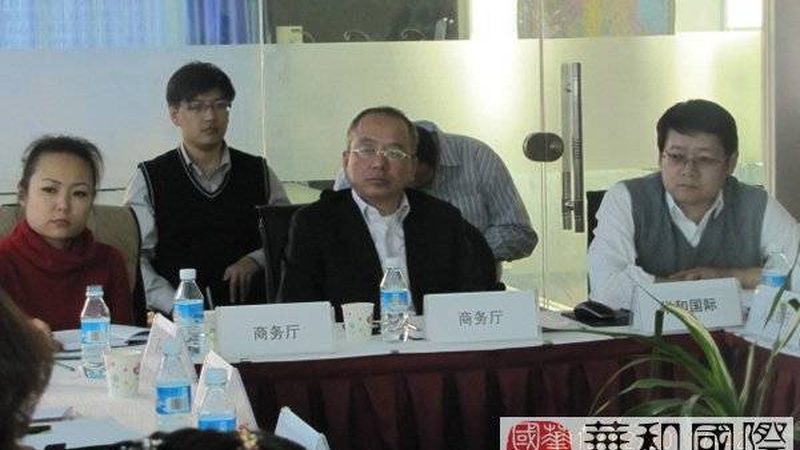战略咨询优缺点分析报告